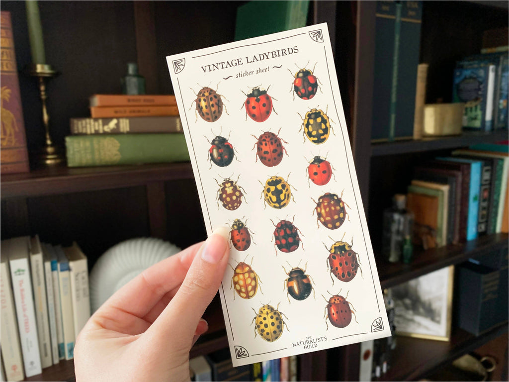 Vintage Ladybirds Sticker Sheet