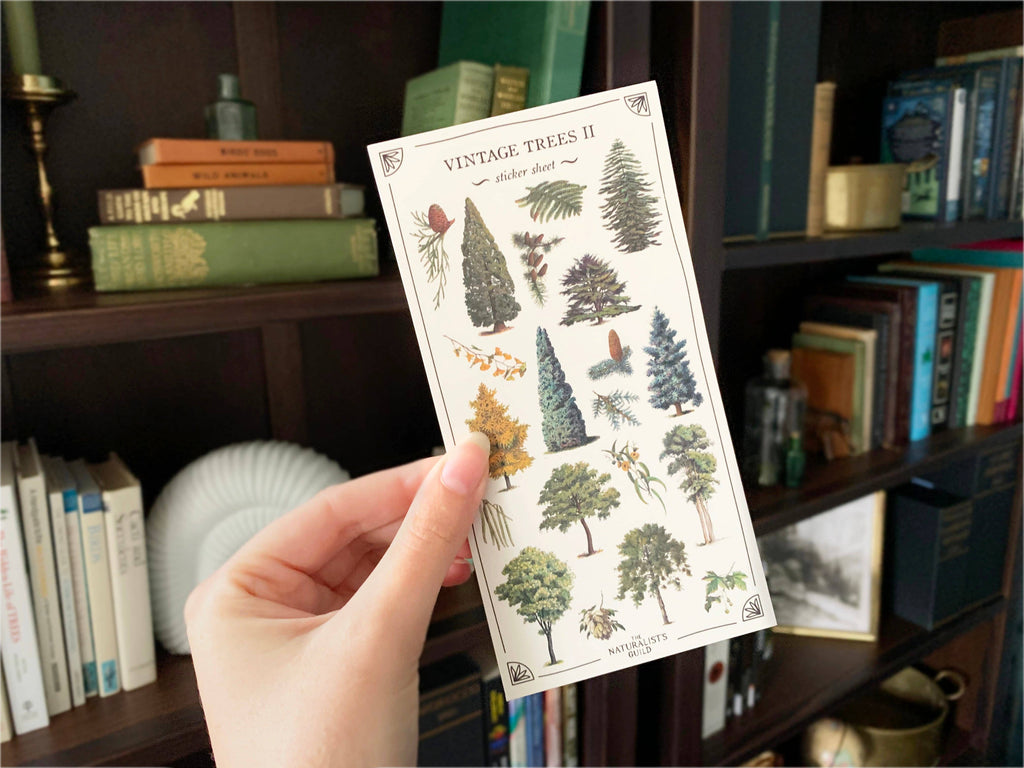 Vintage Trees no. 2 Sticker Sheet