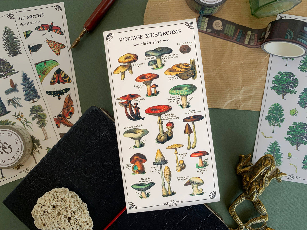 Vintage Mushroom Sticker Sheet