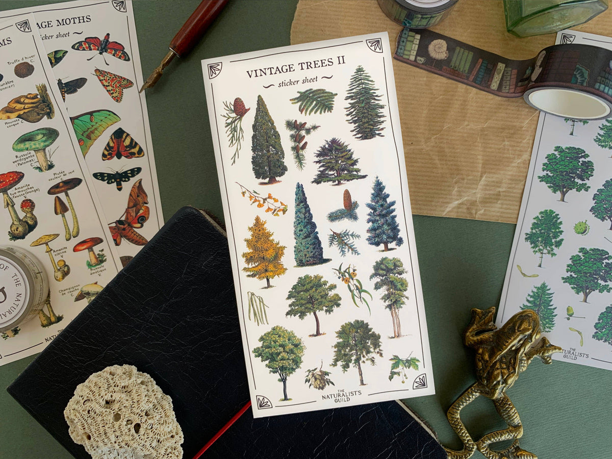 Vintage Trees no. 2 Sticker Sheet
